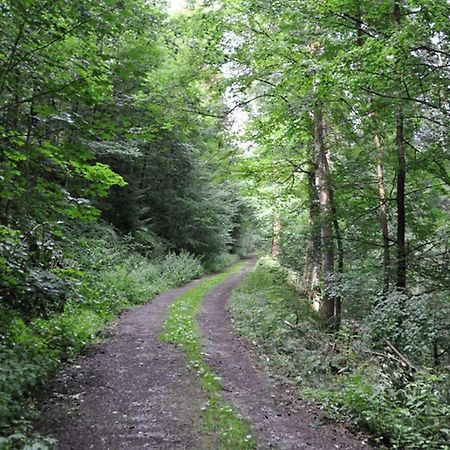 Gasthof L'Italiano Vero Bad Liebenzell Εξωτερικό φωτογραφία