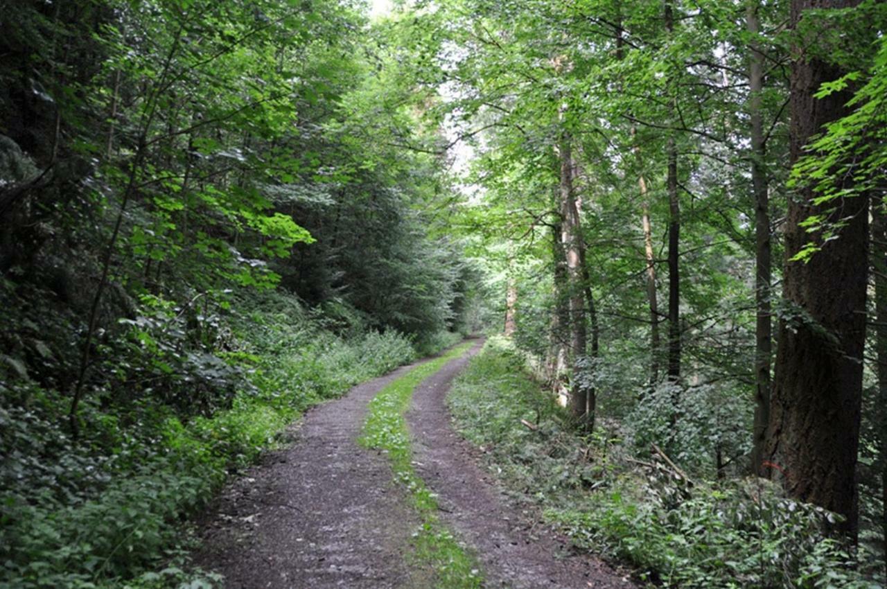 Gasthof L'Italiano Vero Bad Liebenzell Εξωτερικό φωτογραφία